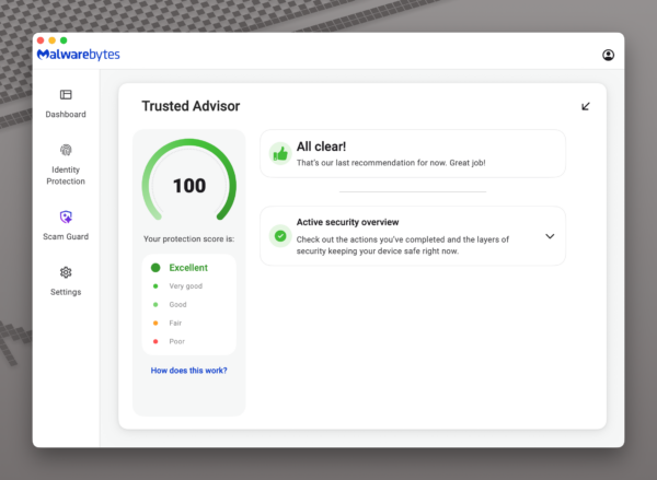 Malwarebytes Standard - 1 Year - Image 3