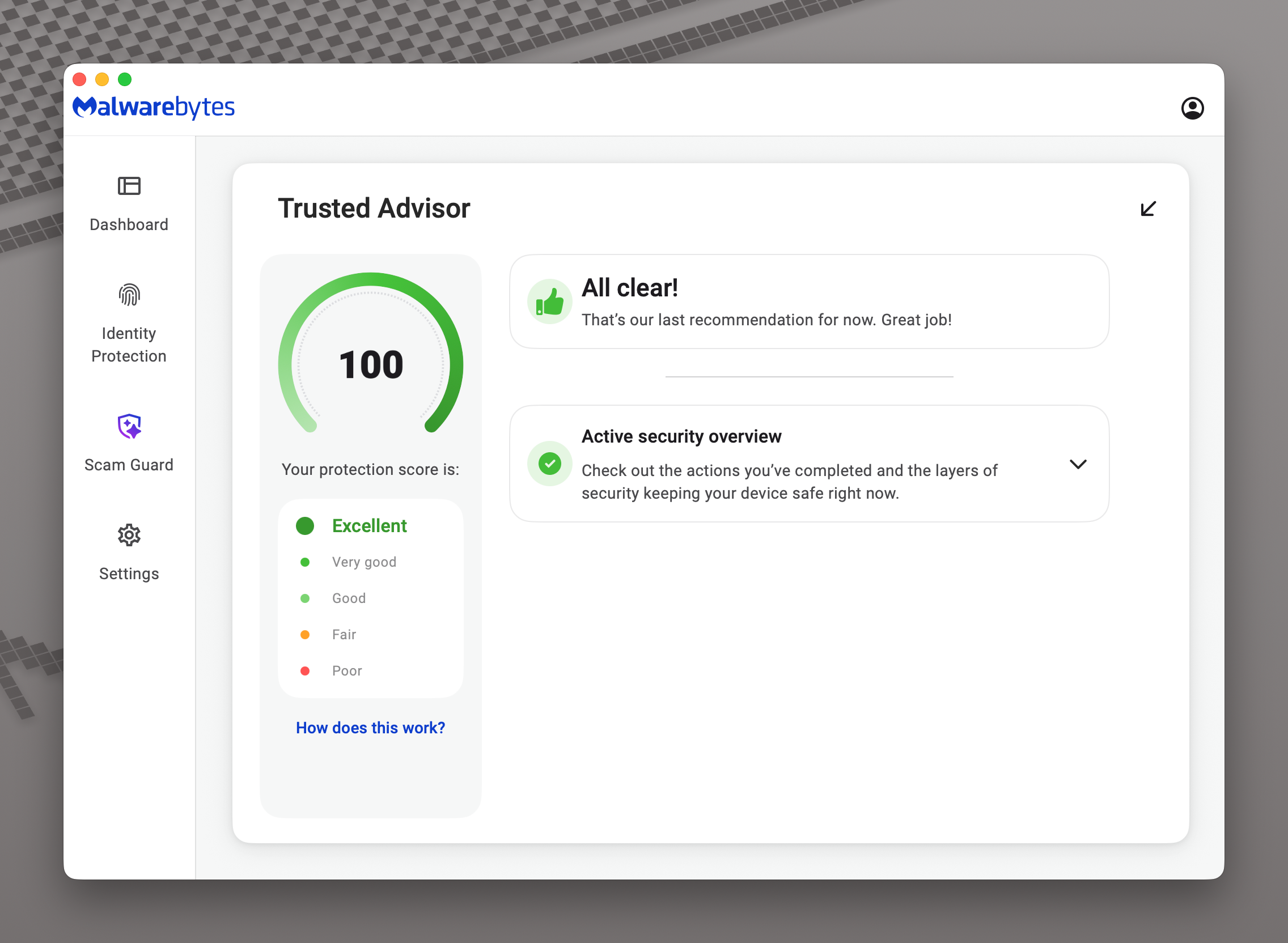 Malwarebytes Standard - 1 Year - Image 3